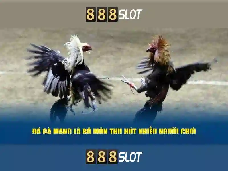 Tong quan chu de situs 888 slot gia tri cot loi