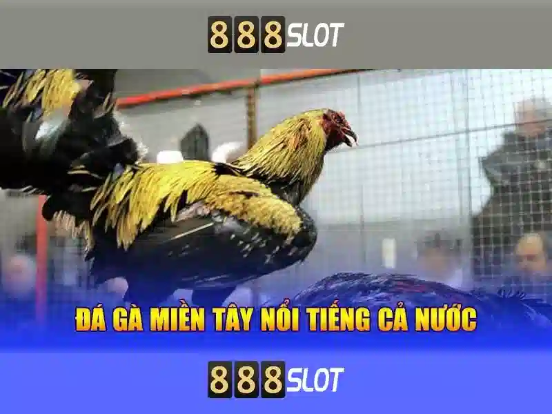 Giới thiệu về 888slot\n\n