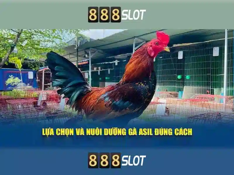 Việt Vị Trong Bóng Đá