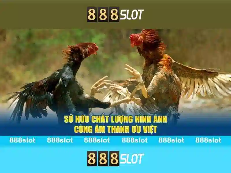 Bull Bull trực tuyến