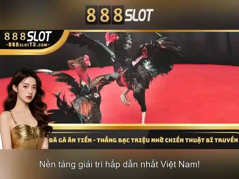 Khuyến mãi và chương trình thành viên