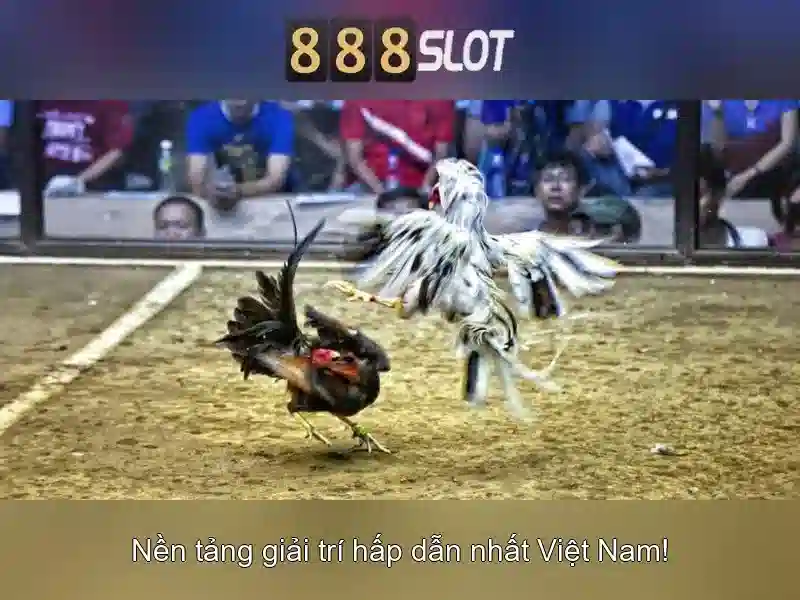 Tính năng nổi bật\n\n Tính năng nổi bật\n\n