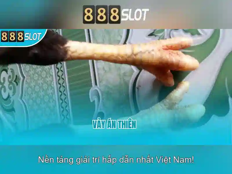 Trải nghiệm di động và hỗ trợ khách hàng Trải nghiệm di động và hỗ trợ khách hàng