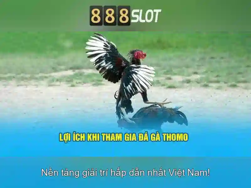 Khuyến mãi và thưởng