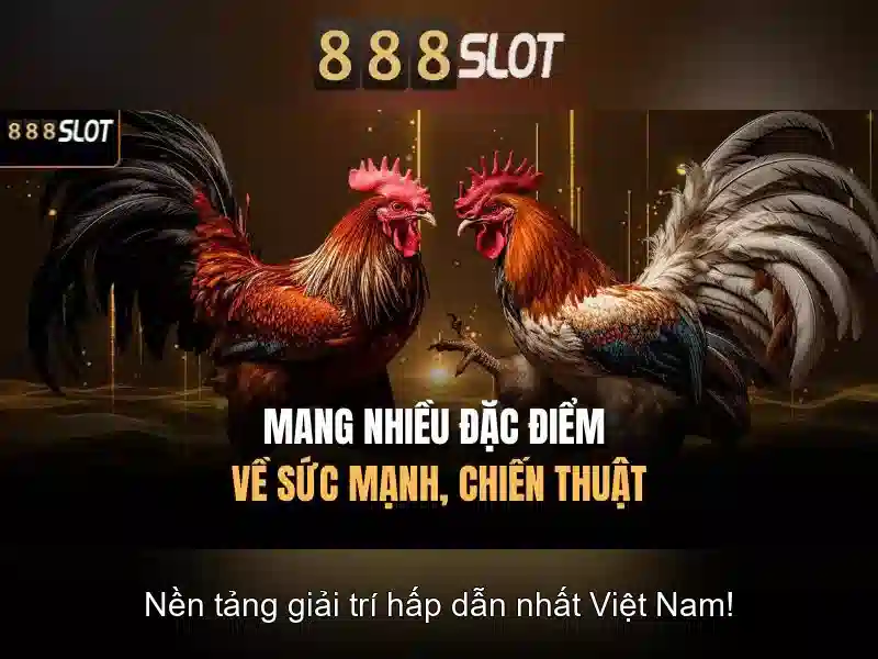 Việt Vị Trong Bóng Đá